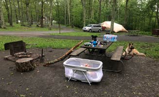 Lexa L.'s photo at Lewis Mountain Campground — Shenandoah National Park near Dyke, VA