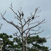 Review photo of Kolomoki Mounds State Park Campground by steven , July 25, 2021