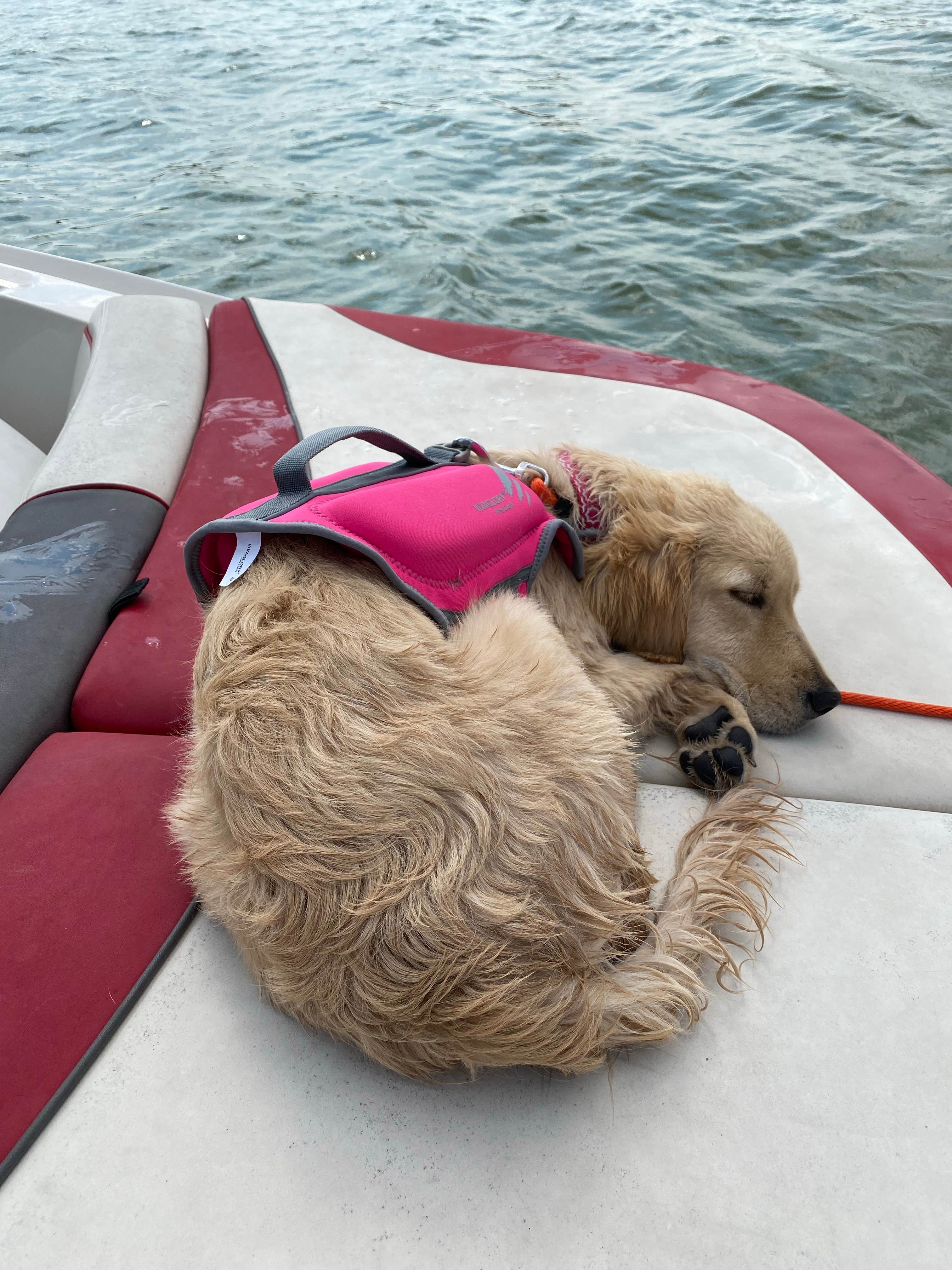 Chris M.'s photo of camping with pets at Grayrocks Reservoir Public Access near Guernsey, WY