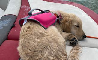 Chris M.'s photo of camping with pets at Grayrocks Reservoir Public Access near Hartville, WY