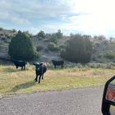 Review photo of Grayrocks Reservoir Public Access by Chris M., July 25, 2021