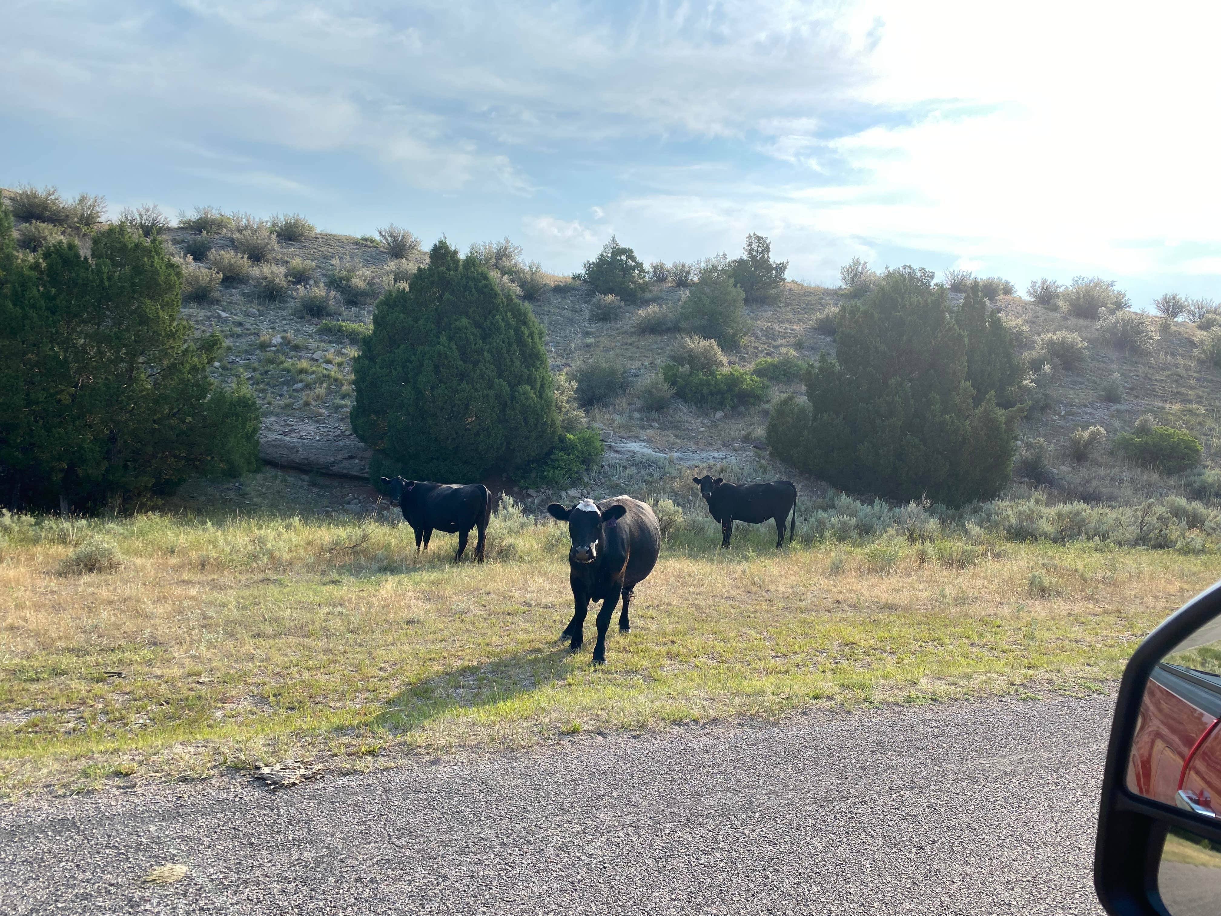 Camper submitted image from Grayrocks Reservoir Public Access - 2