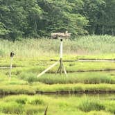 Review photo of Rocky Neck State Park Campground by Daniel L., July 24, 2021