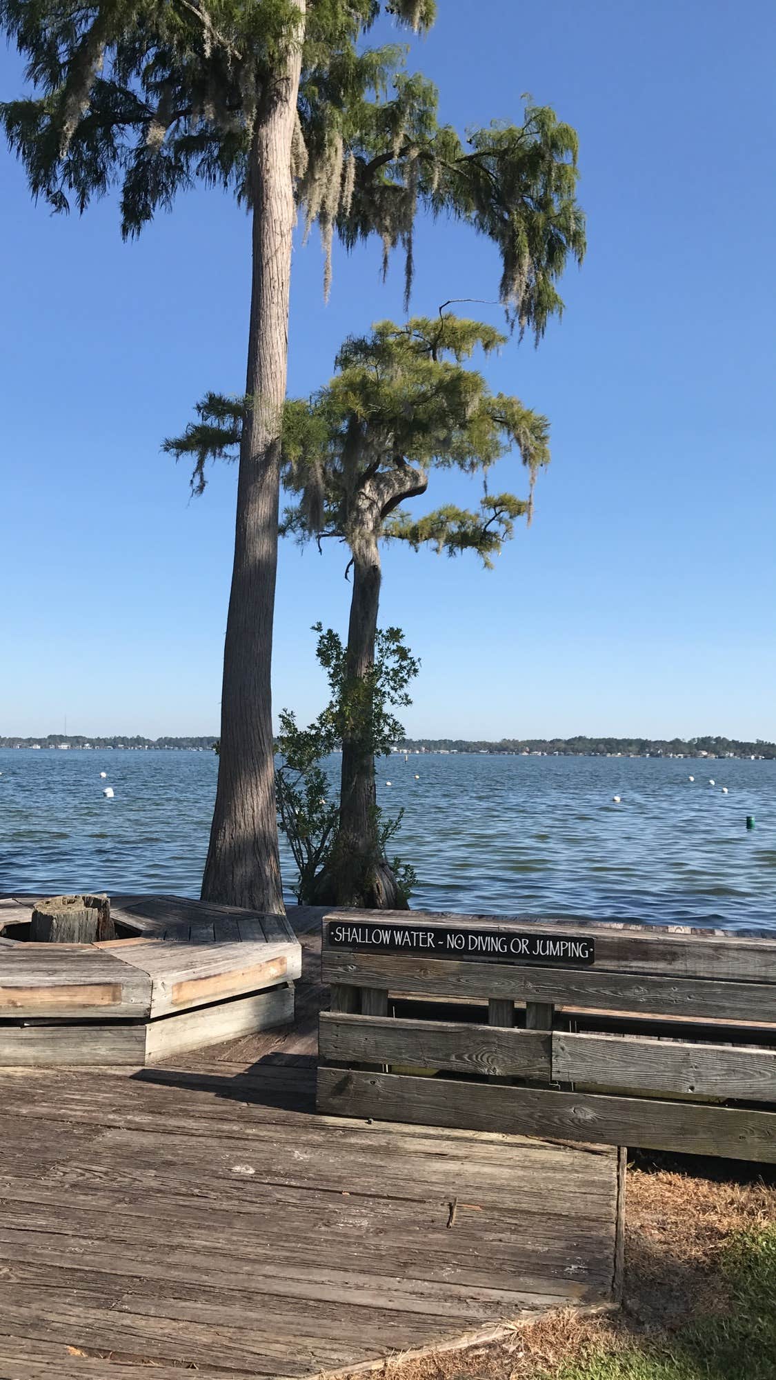 Camp Clearwater The Dyrt