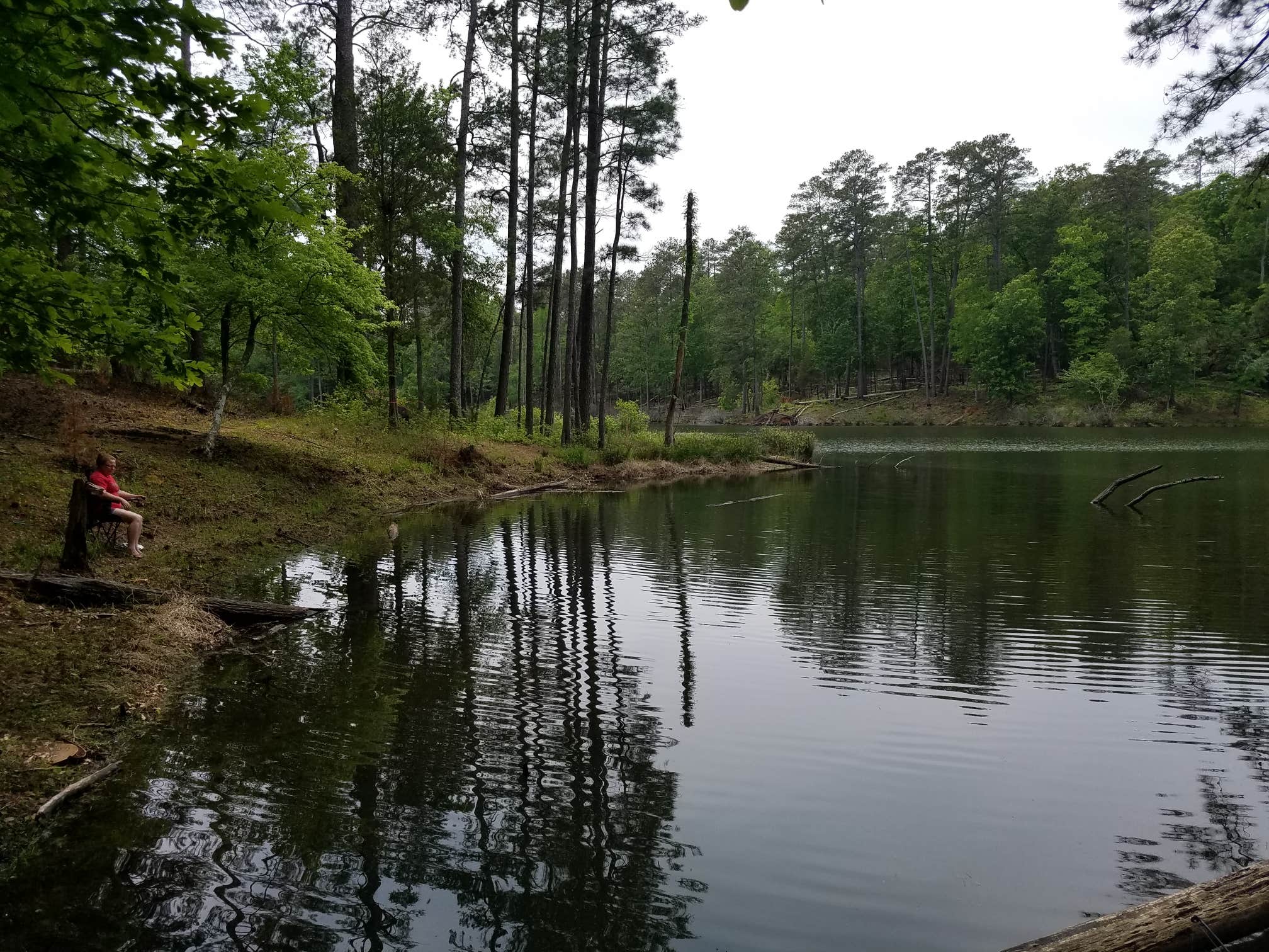 Camper-submitted photo at Lick Fork Lake Recreation Area near Warrenville, SC