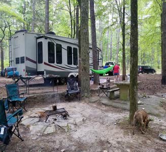 Camper-submitted photo from Bussey Point Wilderness Area