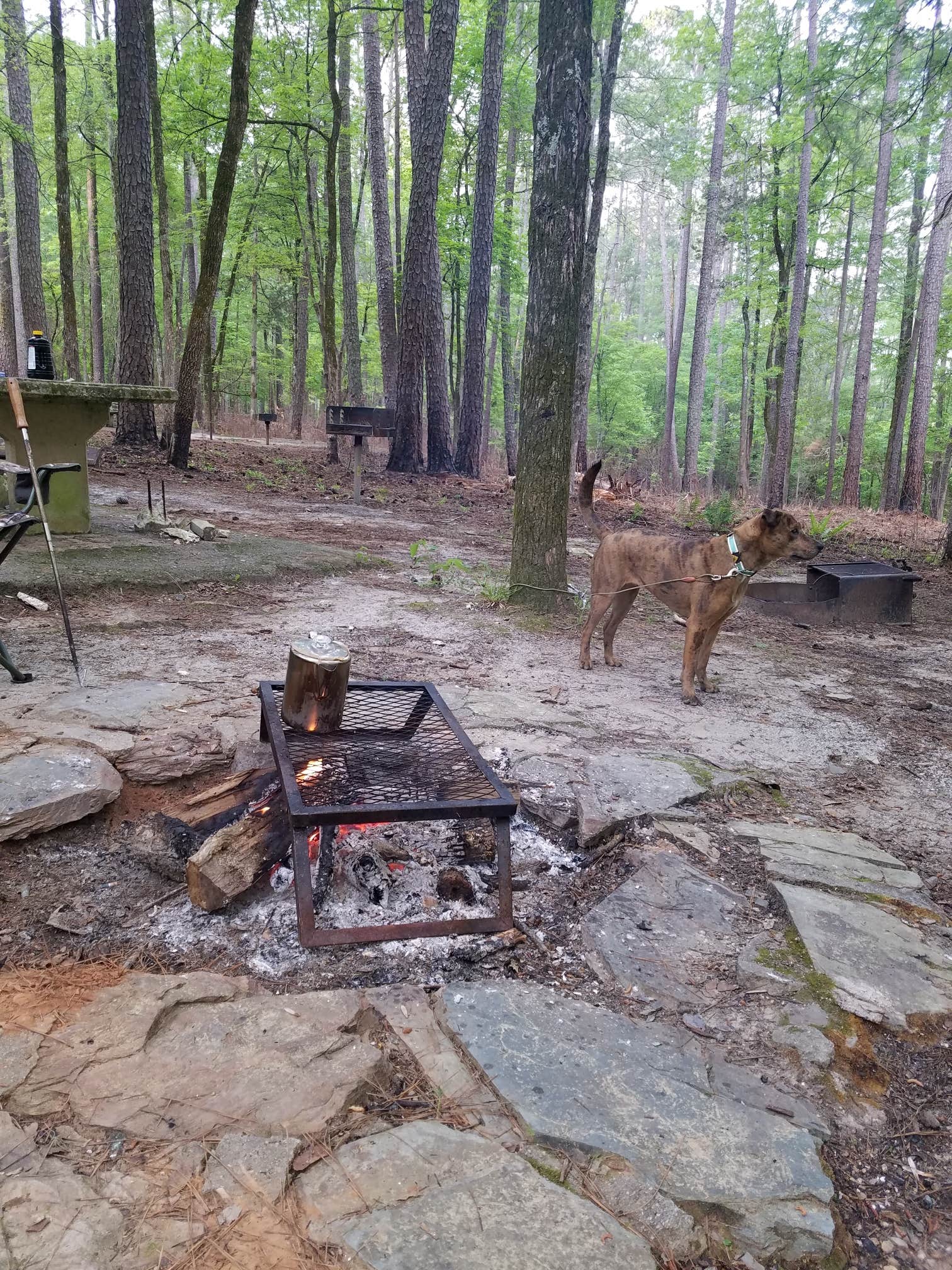 Camper-submitted photo at Lick Fork Lake Recreation Area near Warrenville, SC