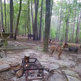 Review photo of Lick Fork Lake Recreation Area by Swain K., June 16, 2018