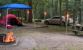 Camping near New River Junction Campground: White Rocks Campground, Waiteville, Virginia