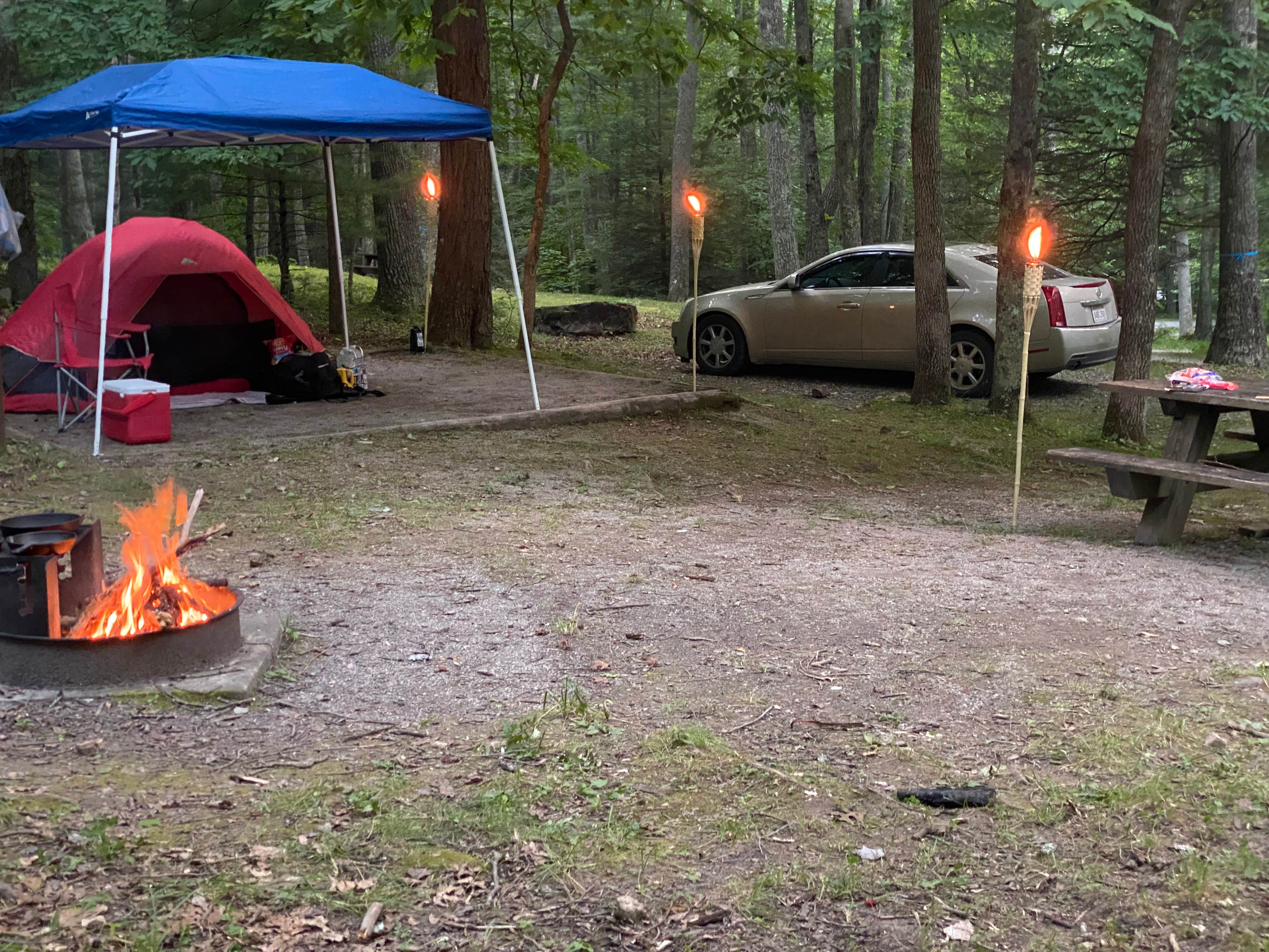 Camper submitted image from White Rocks Campground - 1