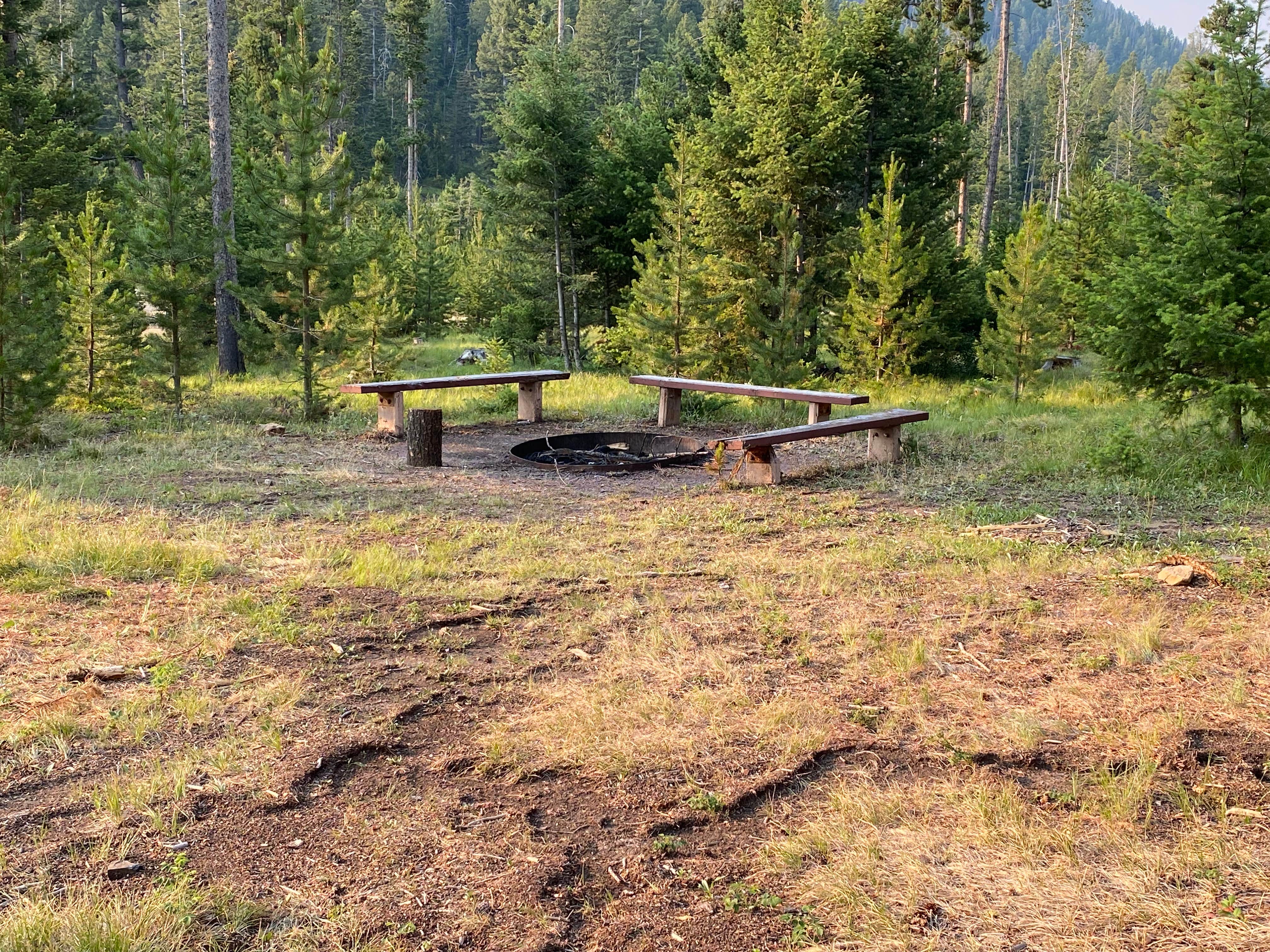 Camping near Racetrack Campground: Orofino Campground, Deer Lodge, Montana