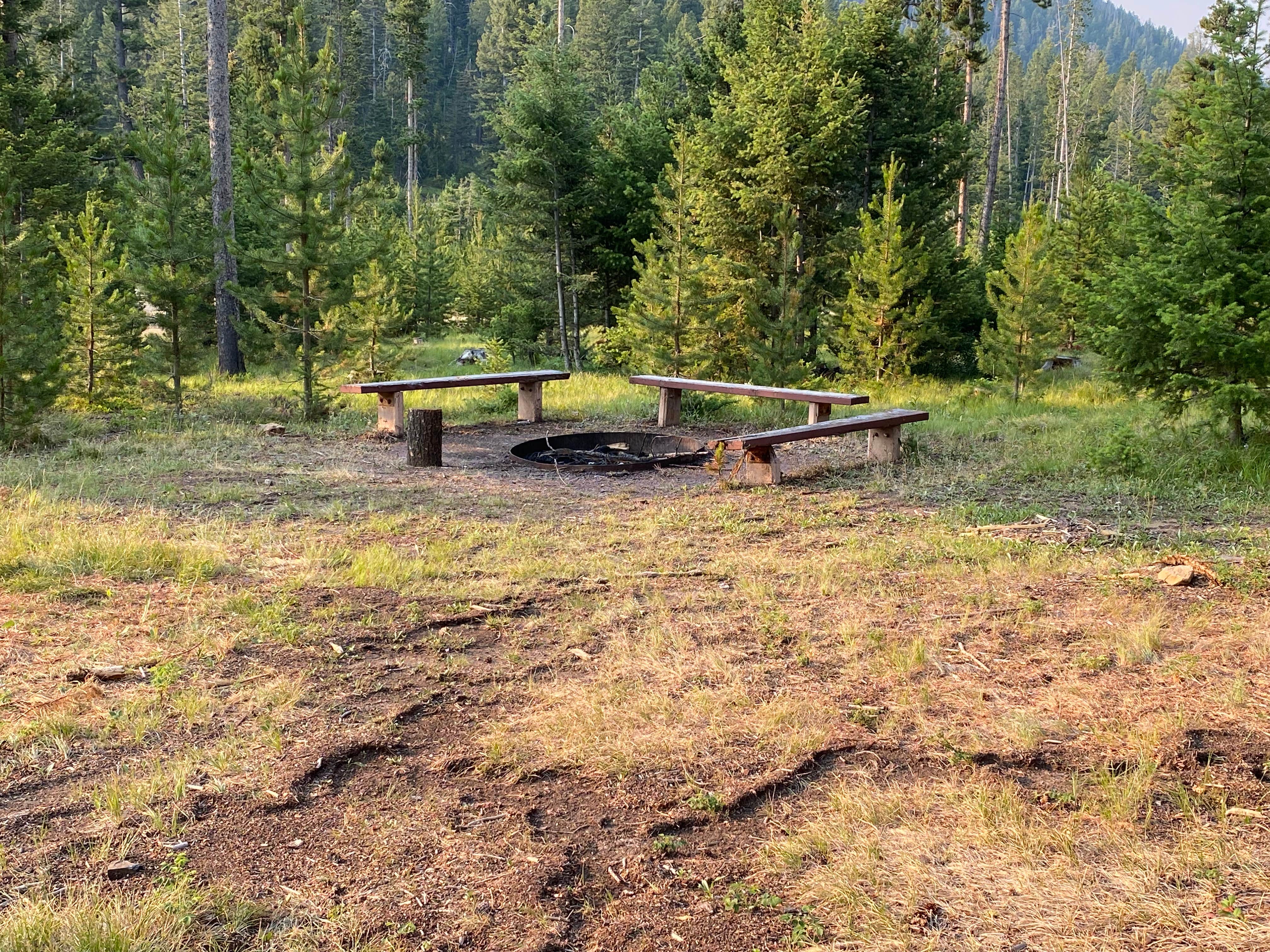 Montana's Hidden Gem: Orofino Campground - Where Adventure Awaits!