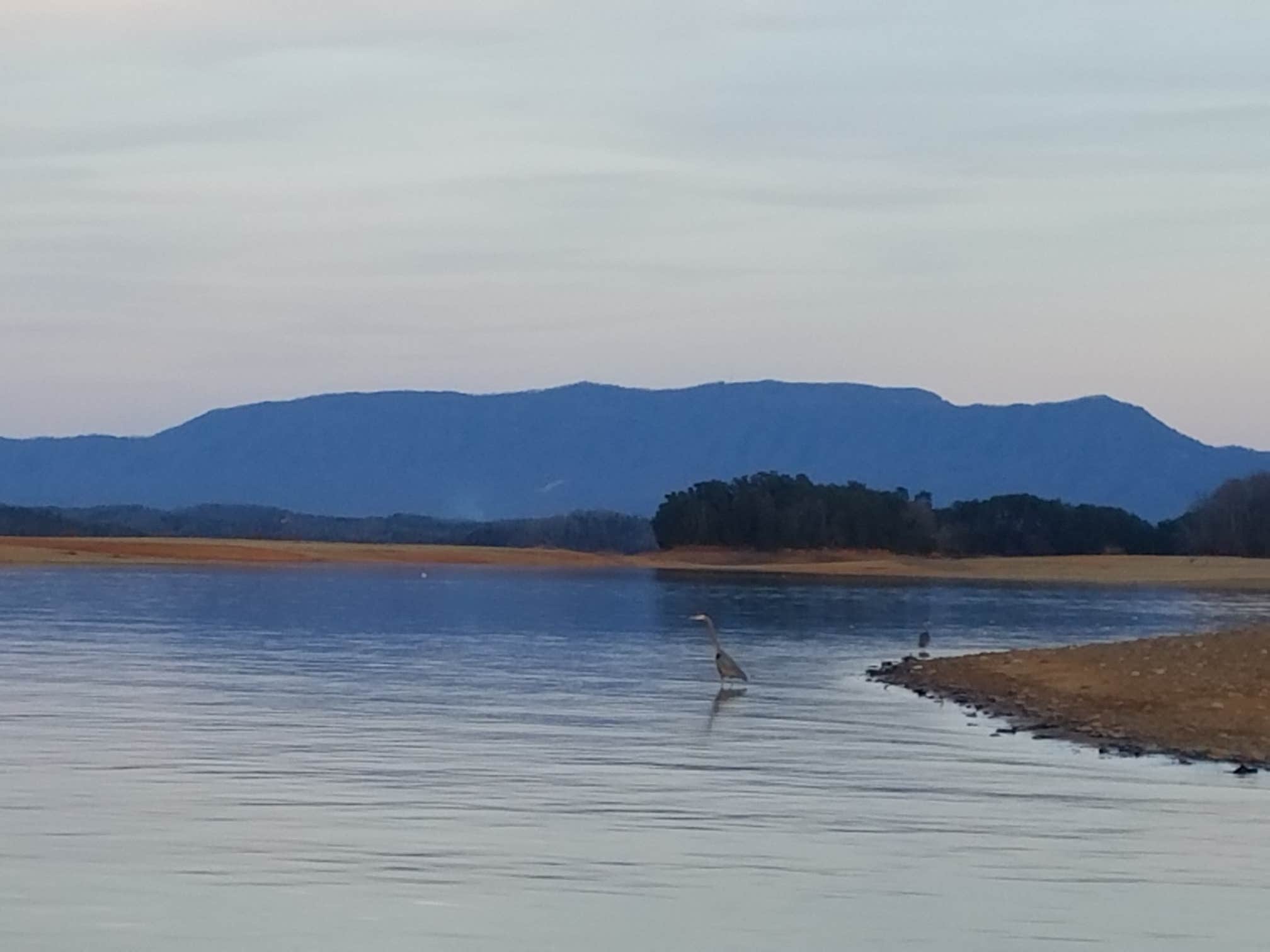 Camper submitted image from Douglas Dam Headwater Campground — Tennessee Valley Authority (TVA) - 2