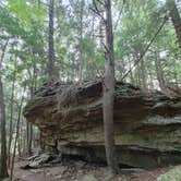 Review photo of Cumberland Falls State Resort Park by Kenpocentaur K., July 25, 2021