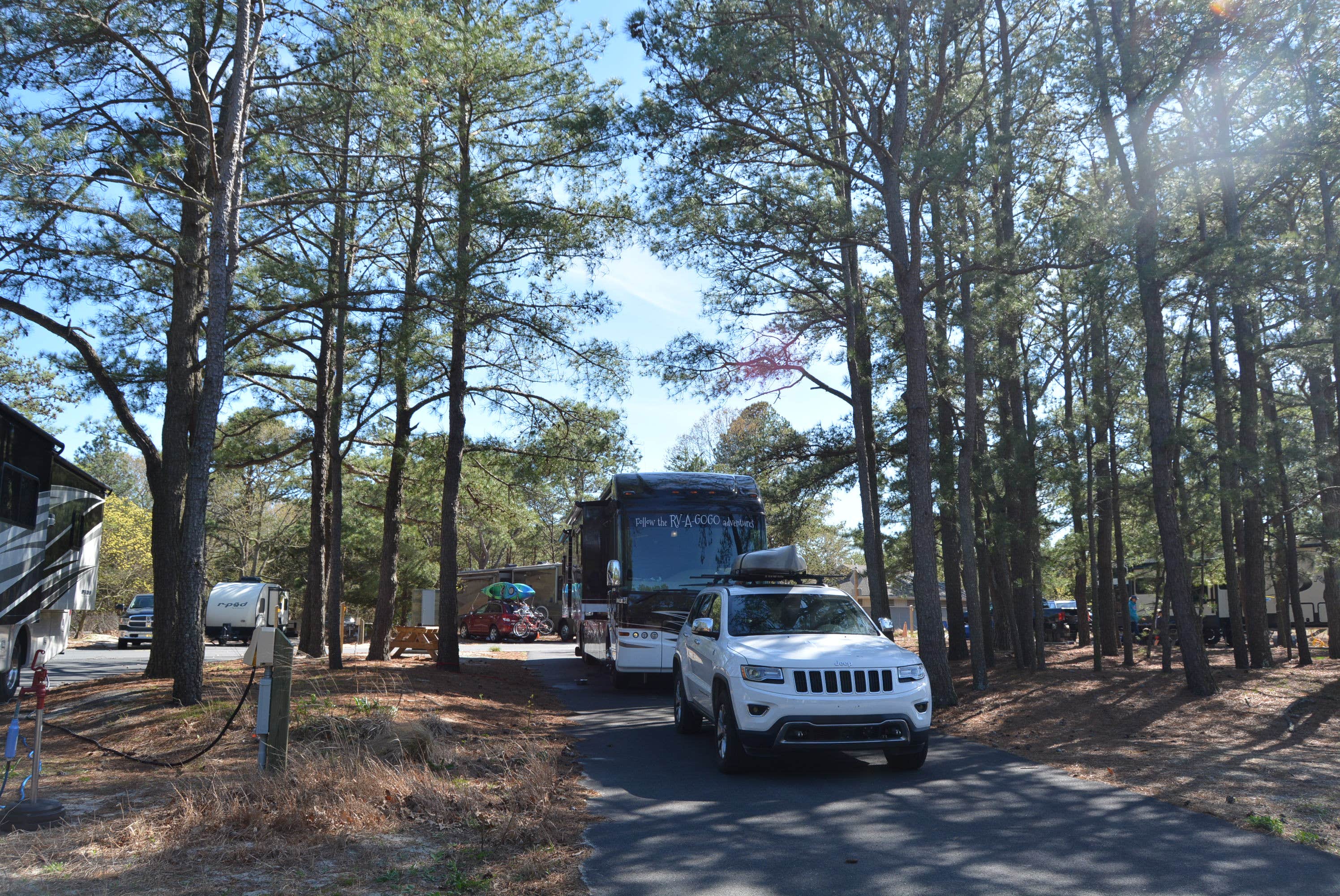 Nancy W.'s photo of rv camping at Cape Henlopen State Park Campground near Ocean Pines, MD