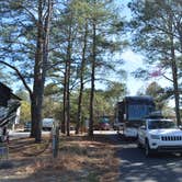 Review photo of Cape Henlopen State Park Campground by Nancy W., July 25, 2021