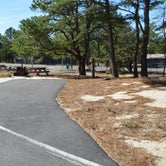Review photo of Cape Henlopen State Park Campground by Nancy W., July 25, 2021