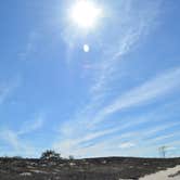 Review photo of Cape Henlopen State Park Campground by Nancy W., July 25, 2021