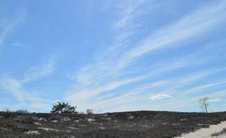 Nancy W.'s photo of camping with pets at Cape Henlopen State Park Campground near Rehoboth Beach, DE