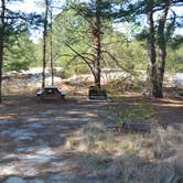 Review photo of Cape Henlopen State Park Campground by Nancy W., July 25, 2021