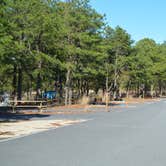 Review photo of Cape Henlopen State Park Campground by Nancy W., July 25, 2021