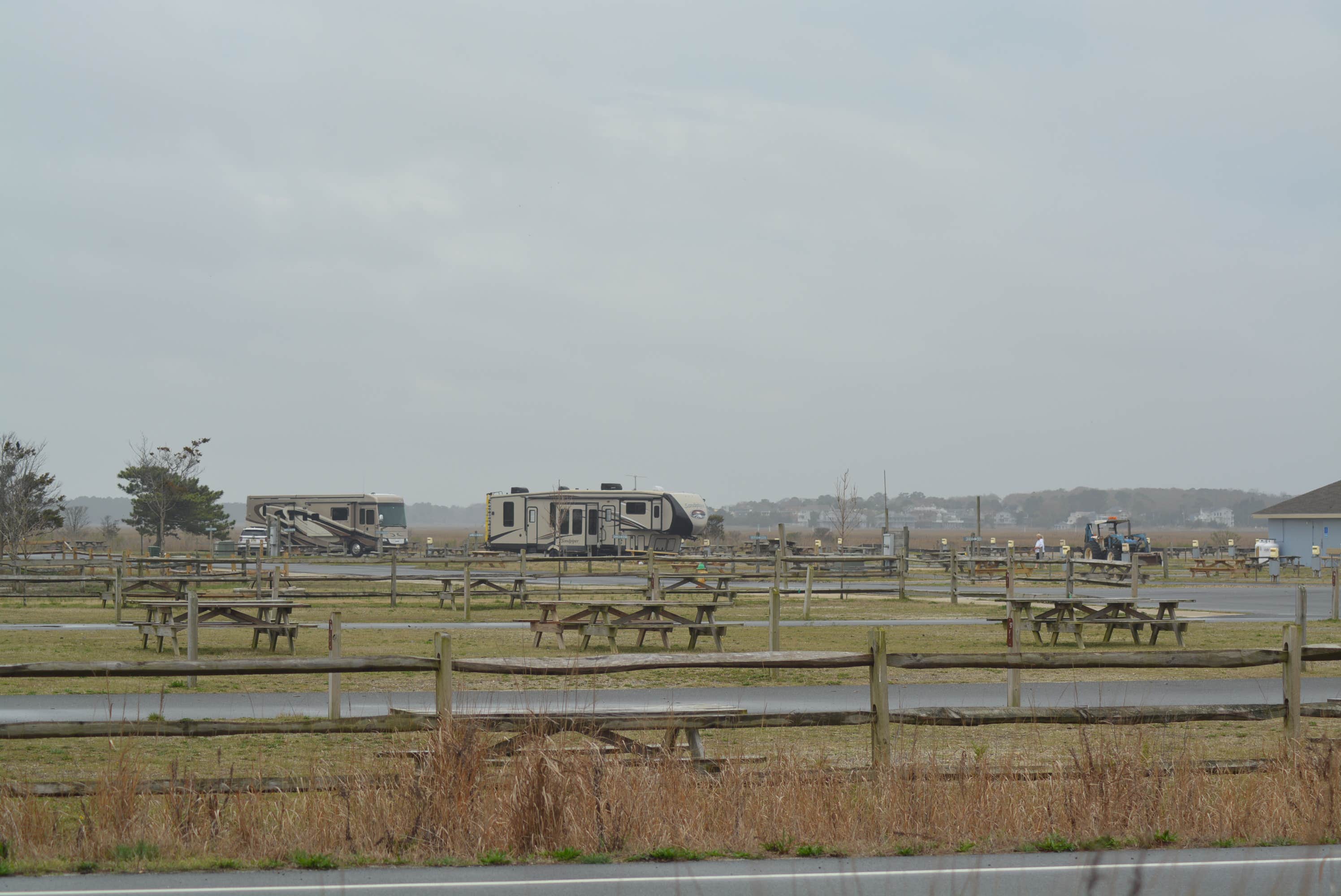 assateague island national seashore or state park