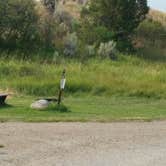 Review photo of Eagle Creek Campground by Dexter I., July 25, 2021