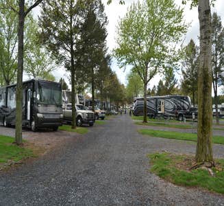 Camper-submitted photo from Pine Hill RV Park