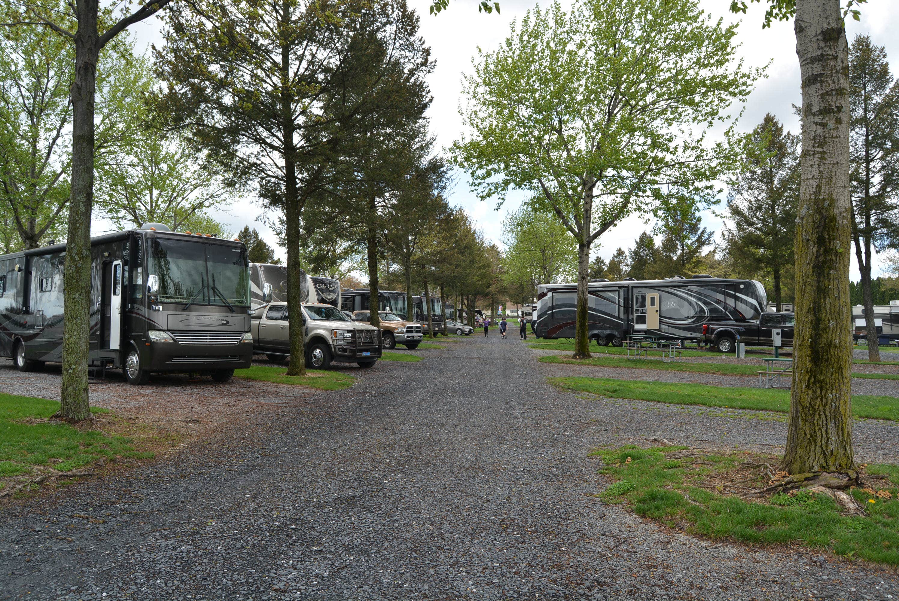 Camper submitted image from Pine Hill RV Park - 2