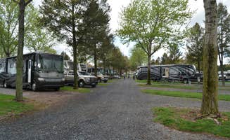 Nancy W.'s photo of rv camping at Pine Hill RV Park near Lake Harmony, PA