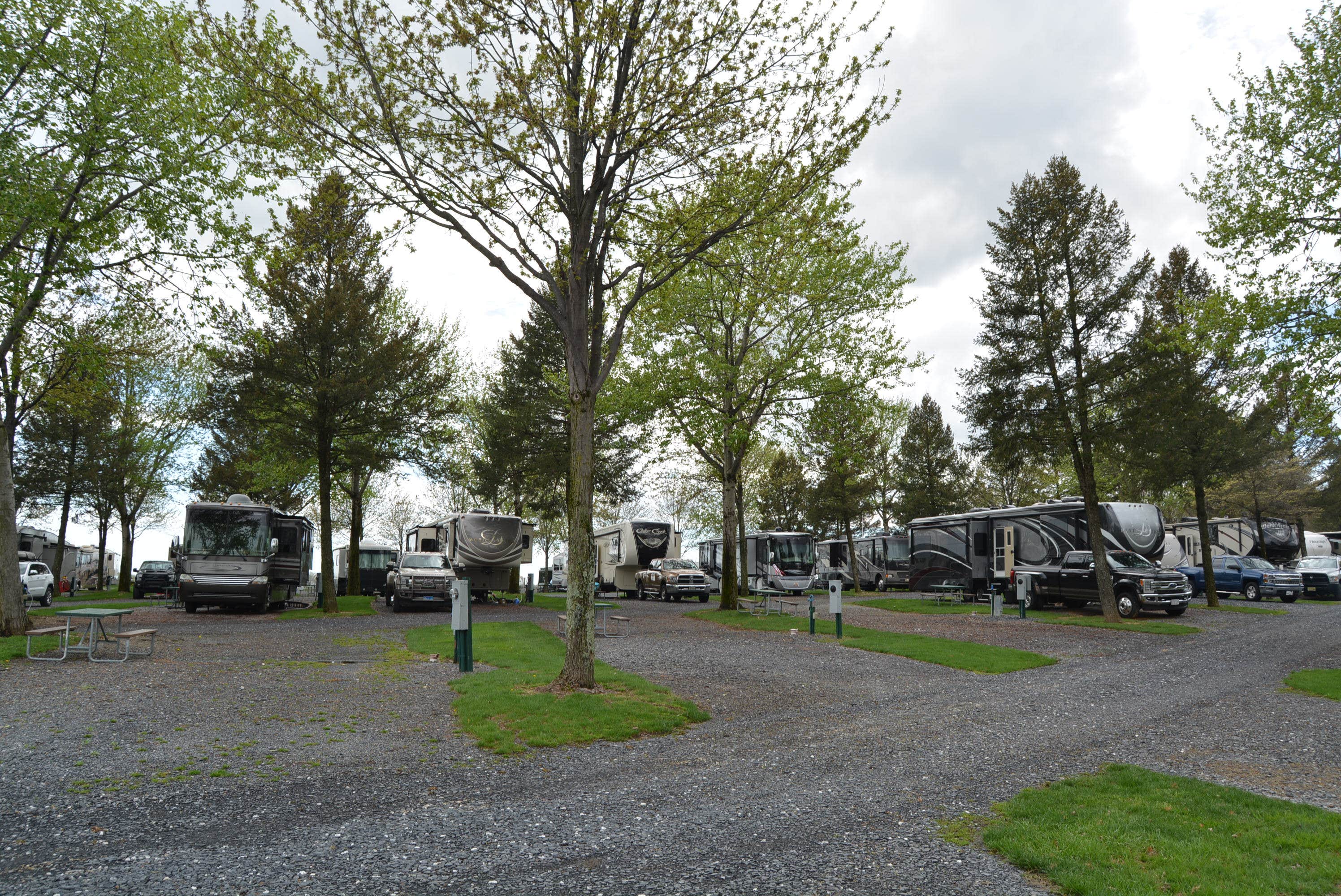 Nancy W.'s photo of rv camping at Pine Hill RV Park near Hamburg, PA