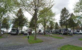 Nancy W.'s photo of rv camping at Pine Hill RV Park near Hellertown, PA