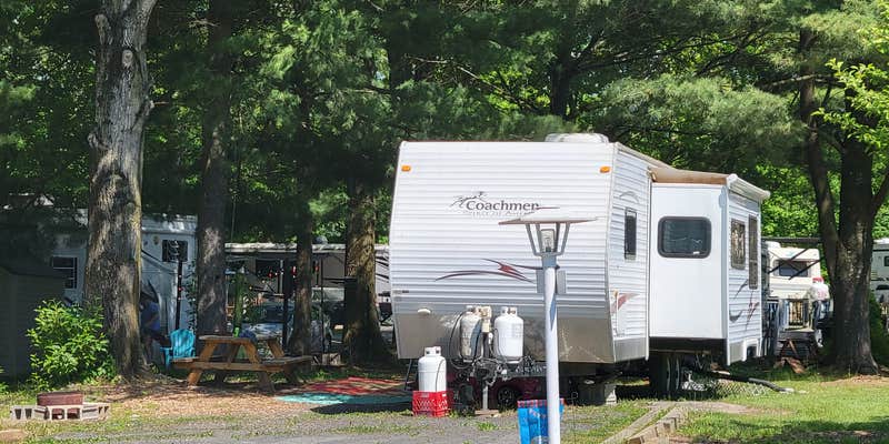Camper submitted image from Chestnut Lake Campground