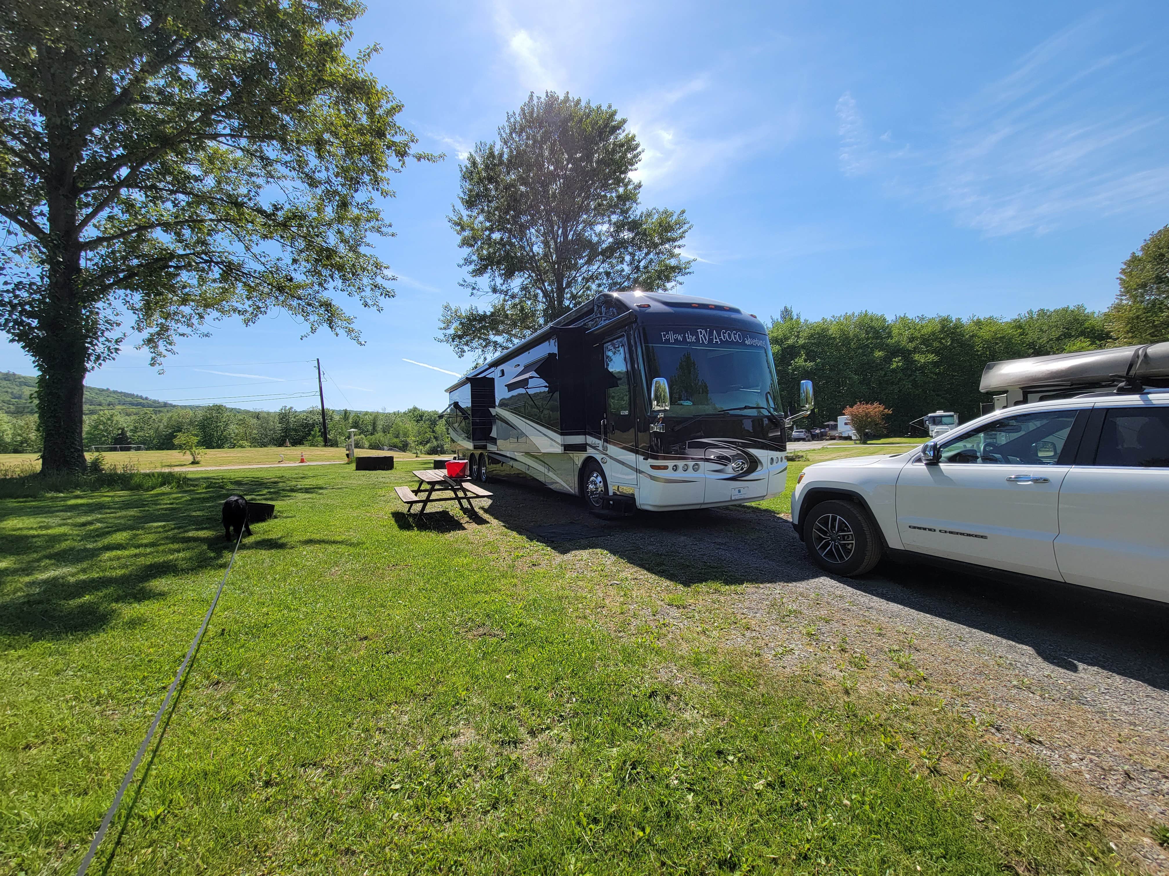 Camper submitted image from Chestnut Lake Campground - 2