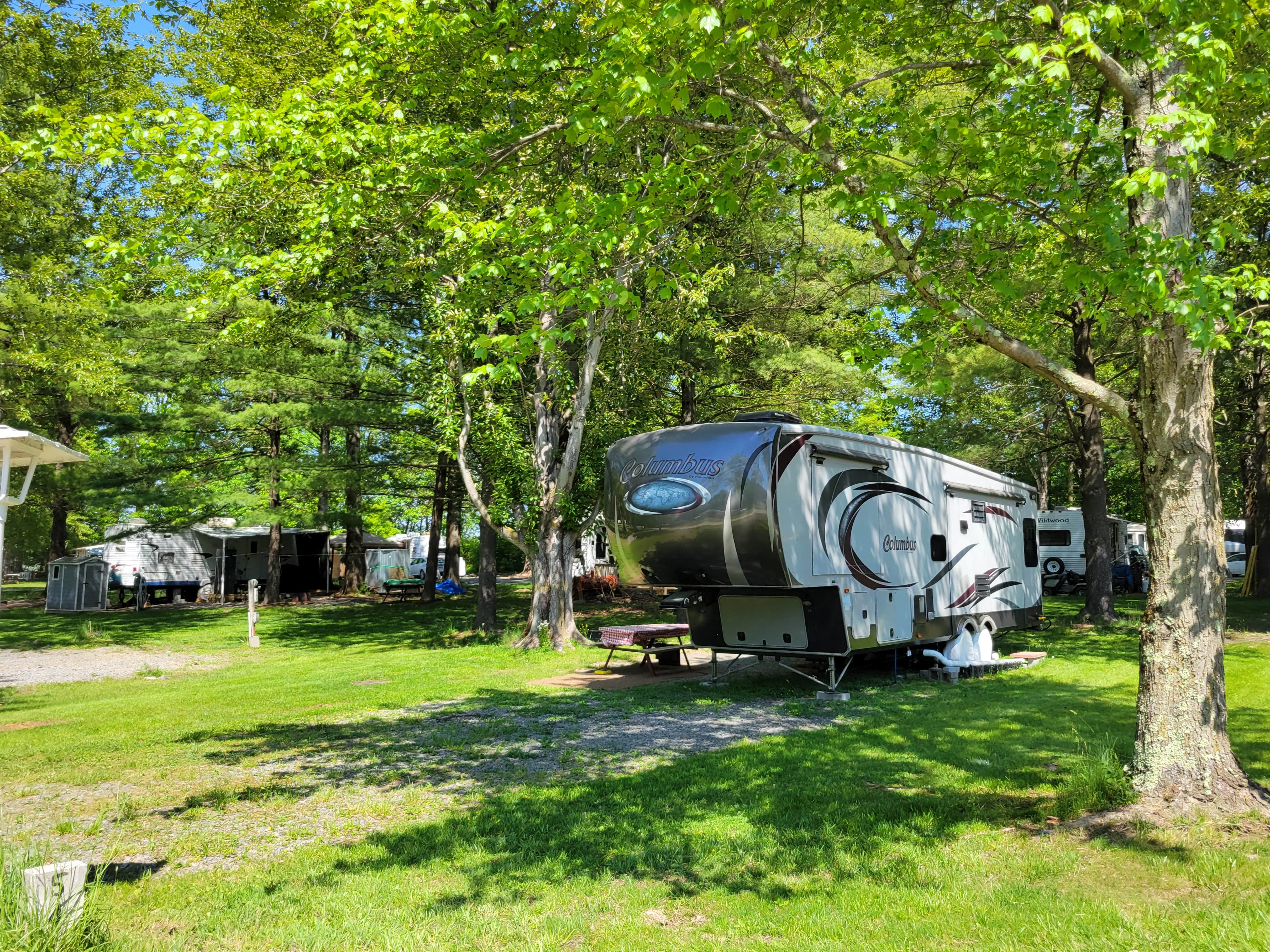 Camper submitted image from Chestnut Lake Campground - 5