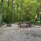 Review photo of Gifford Pinchot State Park Campground by Laure D., July 25, 2021