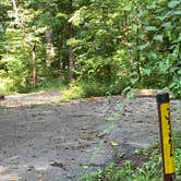 Review photo of Gifford Pinchot State Park Campground by Laure D., July 25, 2021