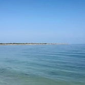 Review photo of Shell Key by Steve S., July 18, 2016