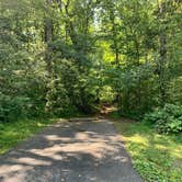 Review photo of Gifford Pinchot State Park Campground by Laure D., July 25, 2021