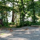 Review photo of Gifford Pinchot State Park Campground by Laure D., July 25, 2021