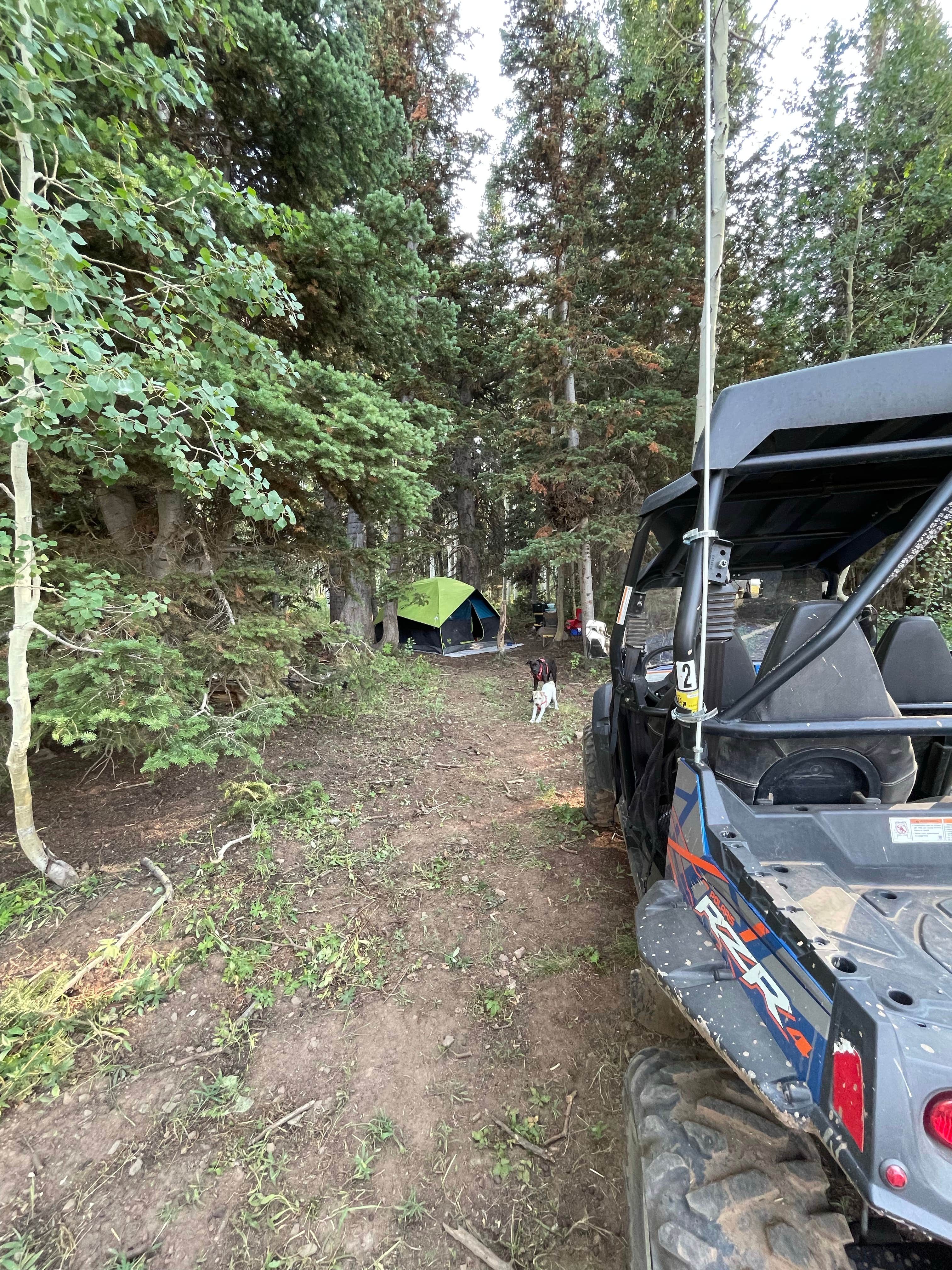 Kati C.'s photo of a dispersed camping area at Soapstone Basin Dispersed Camping near Tabiona, UT