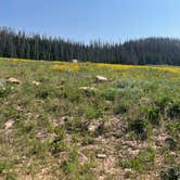 Review photo of Soapstone Basin Dispersed Camping by Kati C., July 25, 2021