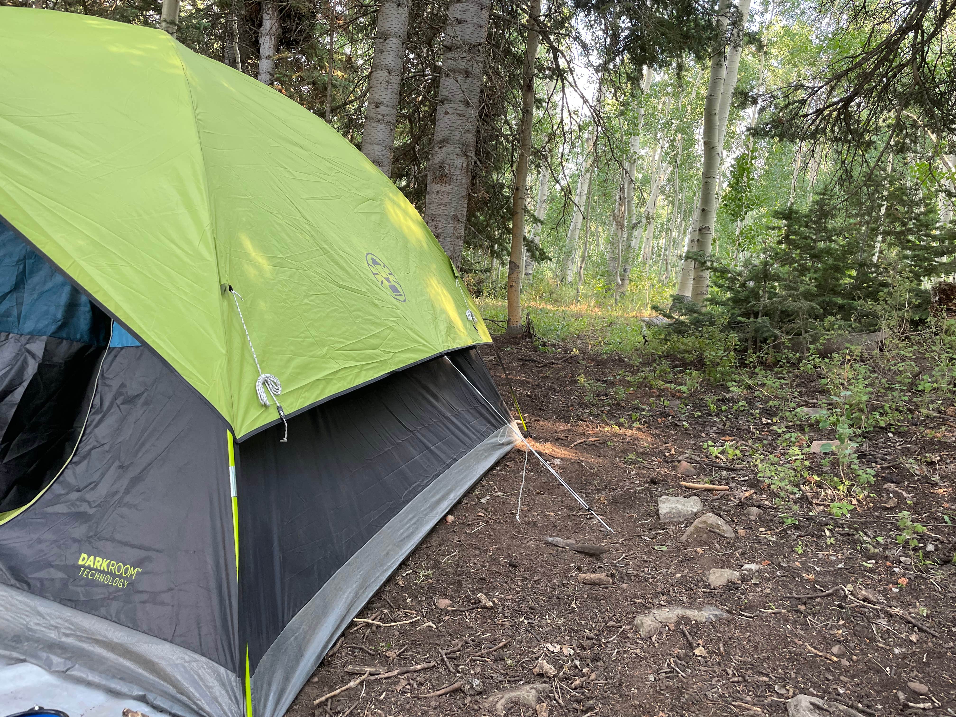 Kati C.'s photo at Soapstone Basin Dispersed Camping near Tabiona, UT