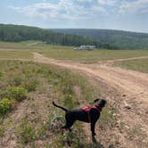 Review photo of Soapstone Basin Dispersed Camping by Kati C., July 25, 2021