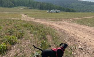 Kati C.'s photo of camping with pets at Soapstone Basin Dispersed Camping near Hanna, UT