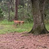 Review photo of Moss Park Campground by Nelson G., July 25, 2021