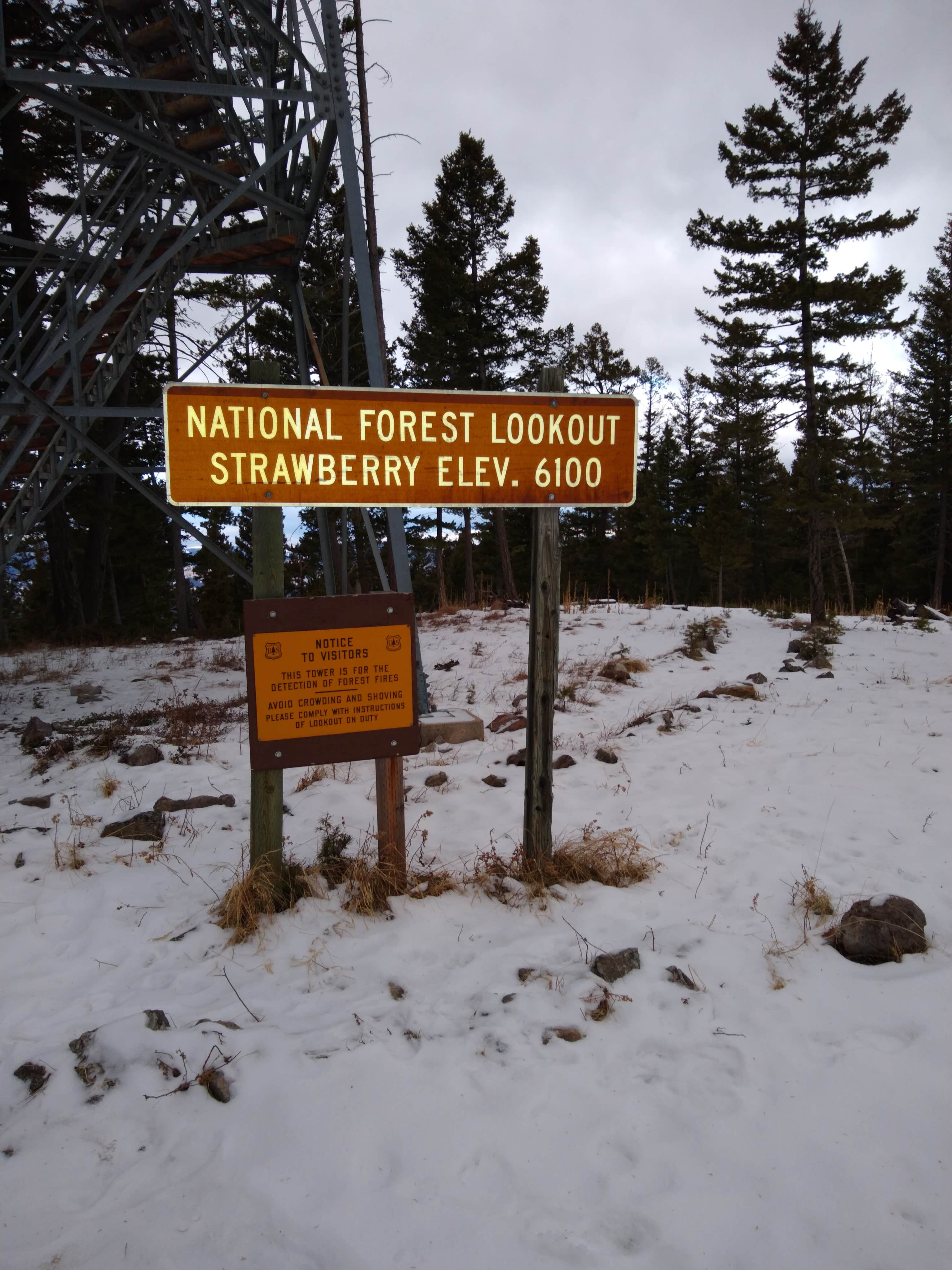 Camper submitted image from Strawberry Cabin - 5