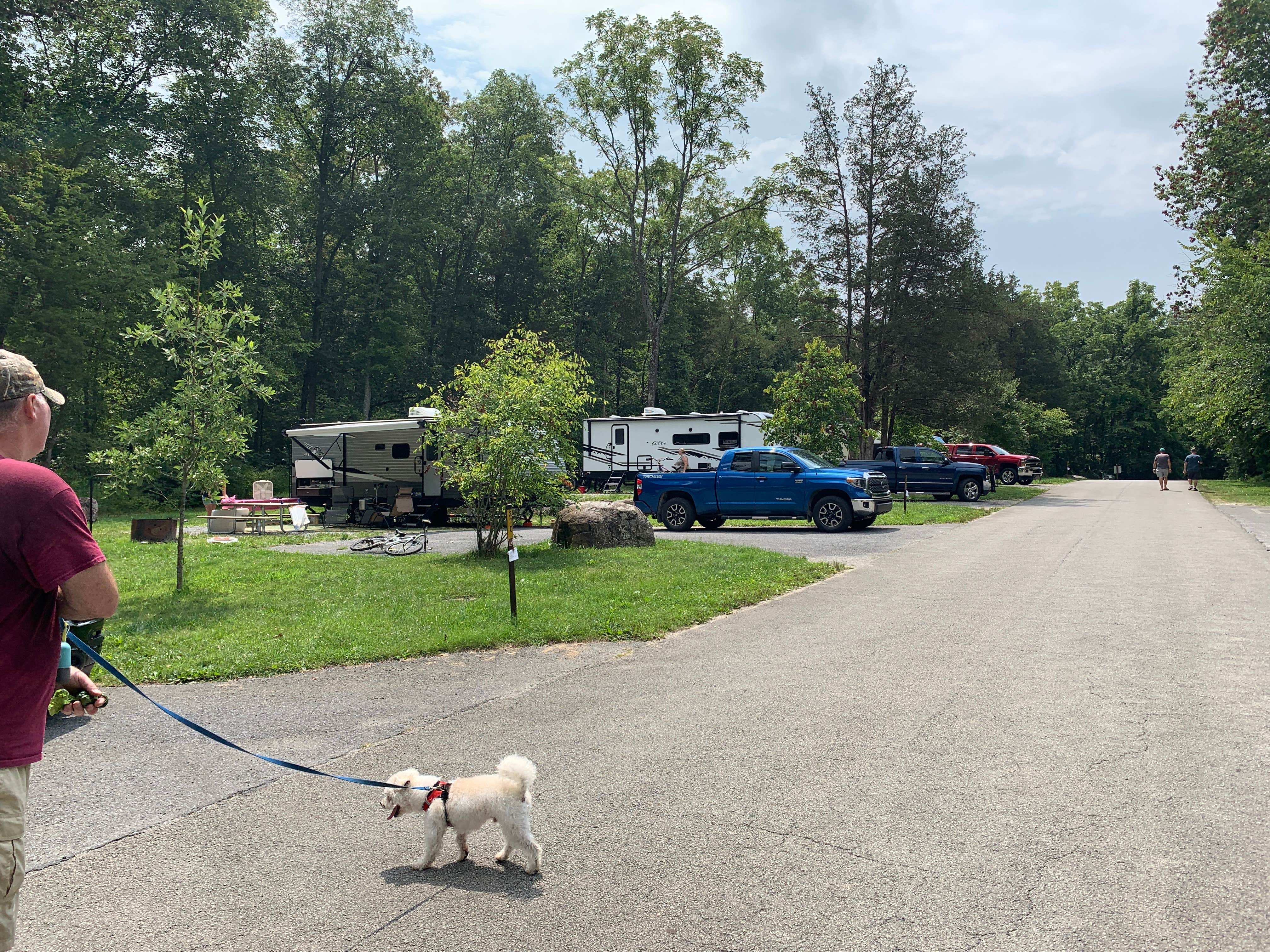 Laure D.'s photo of camping with pets at Gifford Pinchot State Park Campground near York, PA