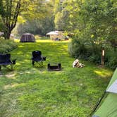 Review photo of Winhall Brook Camping Area by Neal C., July 25, 2021