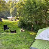 Review photo of Winhall Brook Camping Area - TEMPORARILY CLOSED by Neal C., July 25, 2021